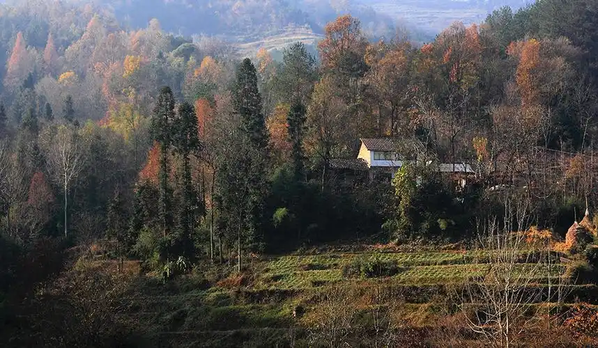 山里人家