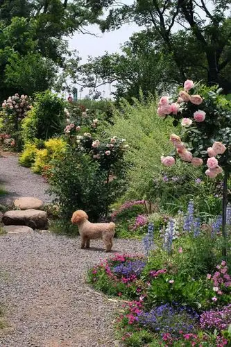 无锡网红多多花园随拍