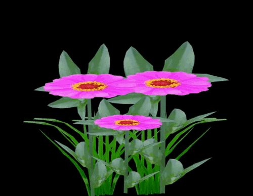 580_450gif 动态图 动图