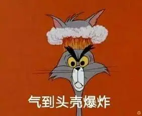 气到爆炸.但是不忍着又能怎么办呢?我们又不能违法乱纪.