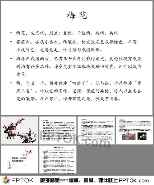ppt内容这是讲梅花的ppt下载,主要介绍了梅花;形态特征;生长习性;分布