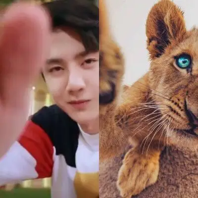 王一博就是只小狮子呀!