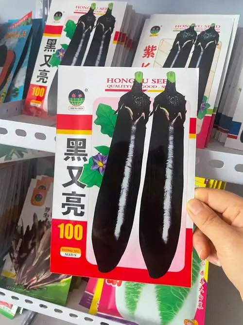 黑得发亮的茄子种子,种出你的菜园c位🔥