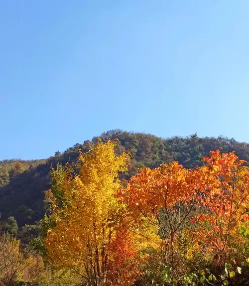 大山里的绚丽秋色