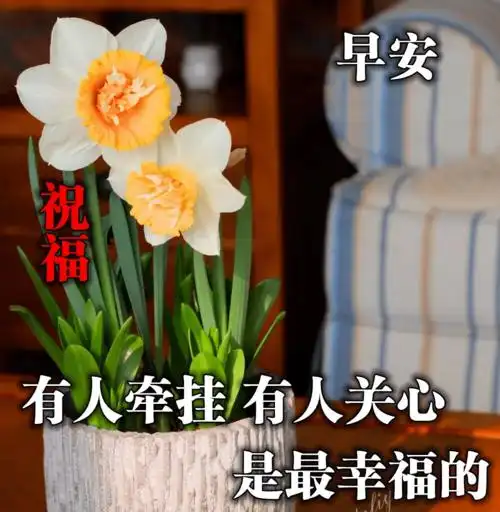 微信早上好问候语大全202012张好看的早上好图片表情