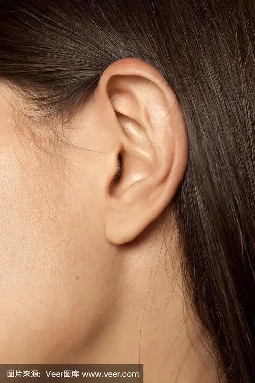 女性的耳朵特写