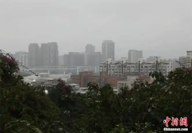 山下的沟仔墘老街早已不是台北,新北市民的通勤要道;由墓园远眺,车水