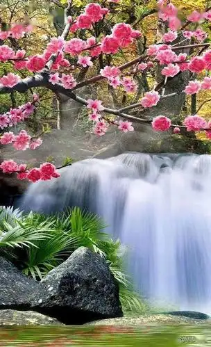 真想身临其境,感受一下淳朴大自然的气息这条路真的是美到我了,太好看