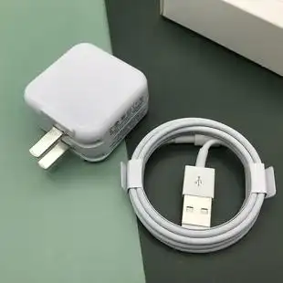 亲,找到ipad2017原装充电器优惠券宝贝22个