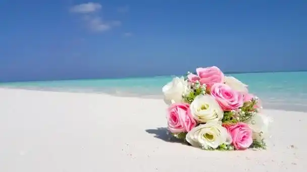 的海滩背景白色沙热带天堂岛与蓝天大海水海洋 4 k 粉红色鲜花短视频