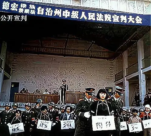 1991年陶静被判死刑,为爱不肯供出幕后主使,死前要求取出节育环