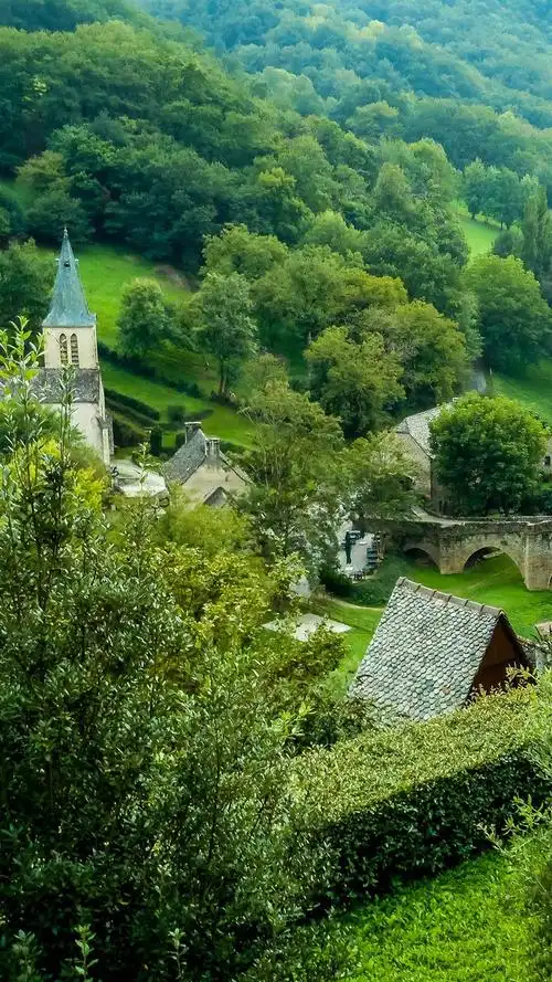 绿色护眼自然风景高清手机壁纸图片