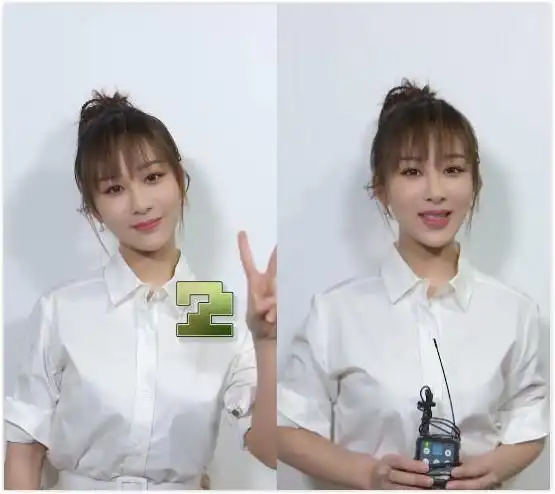 杨紫,杨颖,王俊凯,杨幂,张艺兴,央视