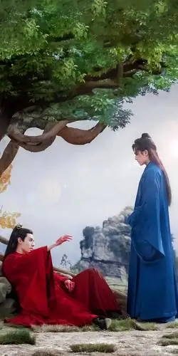 一大波山河令壁纸更新啦