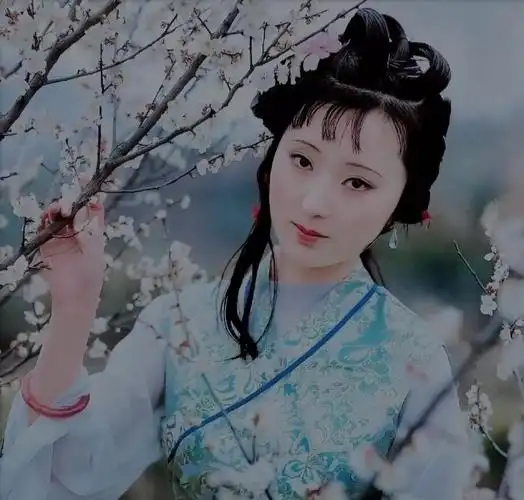 《红楼梦》读后感系列:《世外仙株寂寞林》, 执笔:吉雨桐