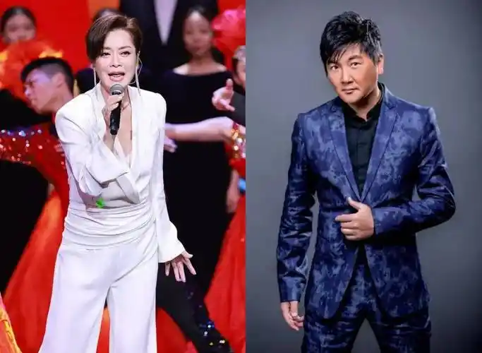 《声生不息·家年华》定档1202,有王心凌耶-搜狐大视野-搜狐新闻