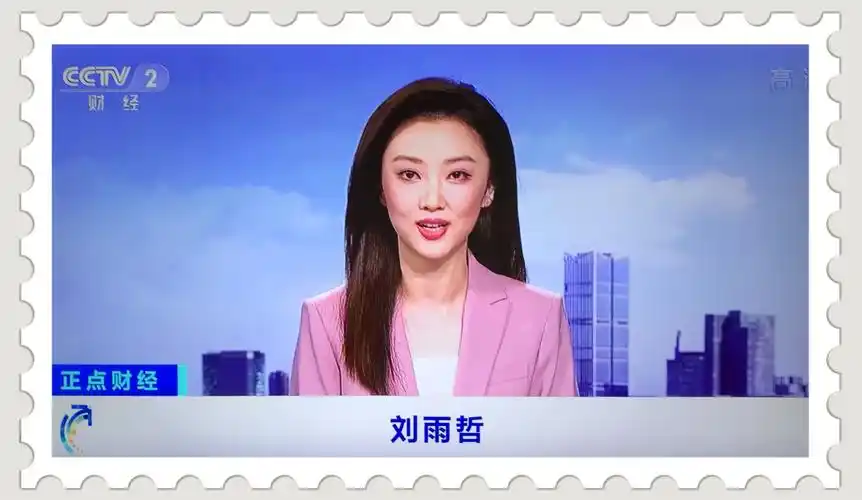 中央电视台主播及主持人的风采