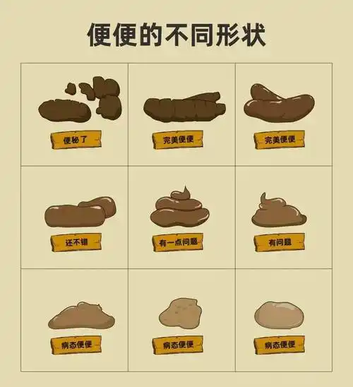 闻色辨屎不会看宠物便便的铲屎官都不是好铲屎官