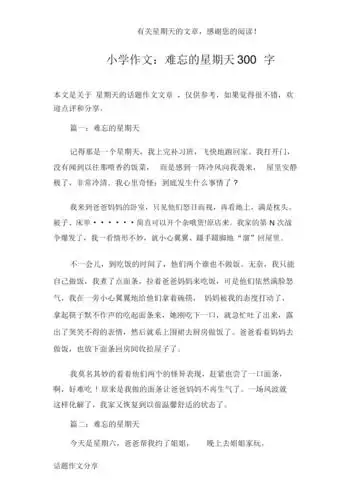 小学作文难忘的星期天300字docx4页