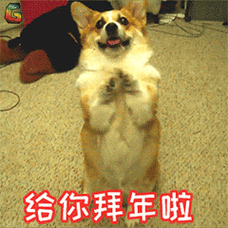 汪星人给你拜年啦soogifsoogif出品拜年gif动图_动态图_表情包下载