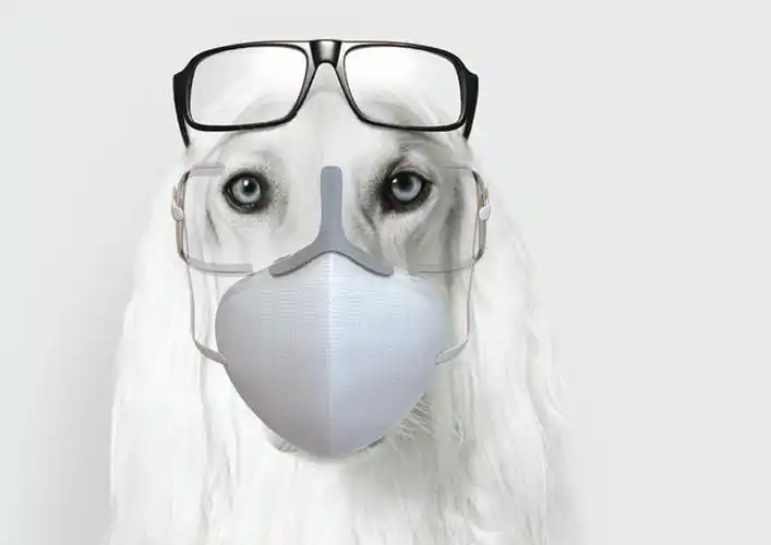 上品设计一次性一体化口罩