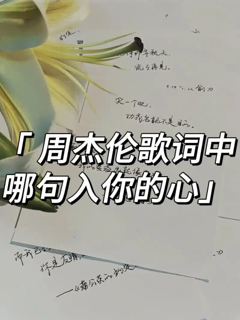 周杰伦歌词中哪句入你的心.😲《明明就》海鸥不再眷恋大海 - 抖音
