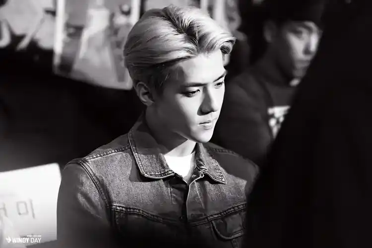 吴世勋 高清 意境 手机壁纸 电脑壁纸 【网络收图 侵权立删】