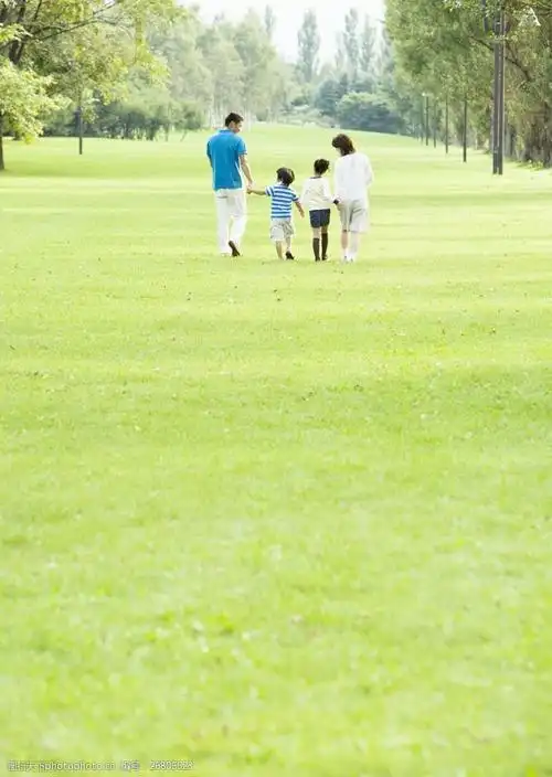 关键词:走在草坪上四口之家的背影图片素材 城郊家庭 温馨一家 幸福