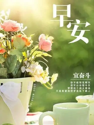 冬天早上好励志的话简短霸气,最新早上好漂亮清新问候语图片