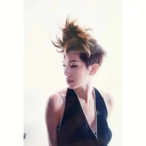 梅艳芳亚洲最dior的女人20002003