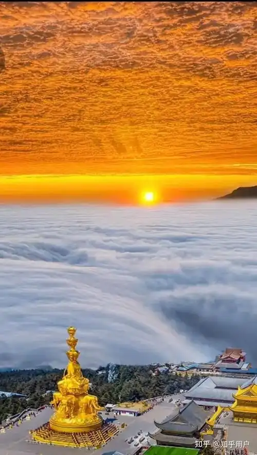 盛世佛光 - 知乎