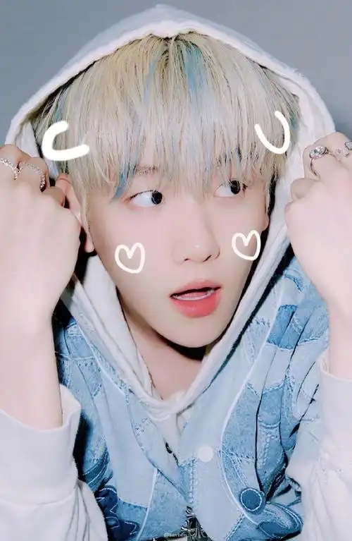 芭兰歌林代言人边伯贤