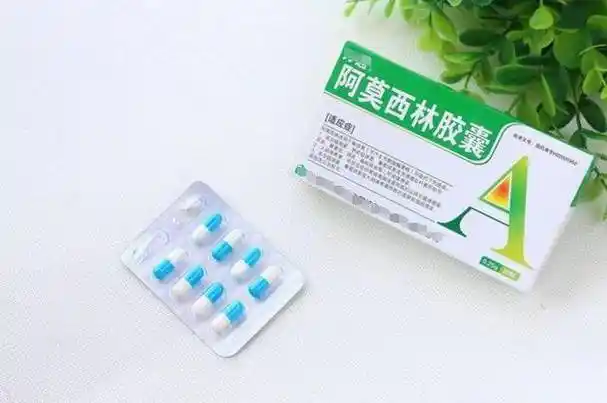 阿莫西林到底是消炎药还是抗生素?别再继续误用了