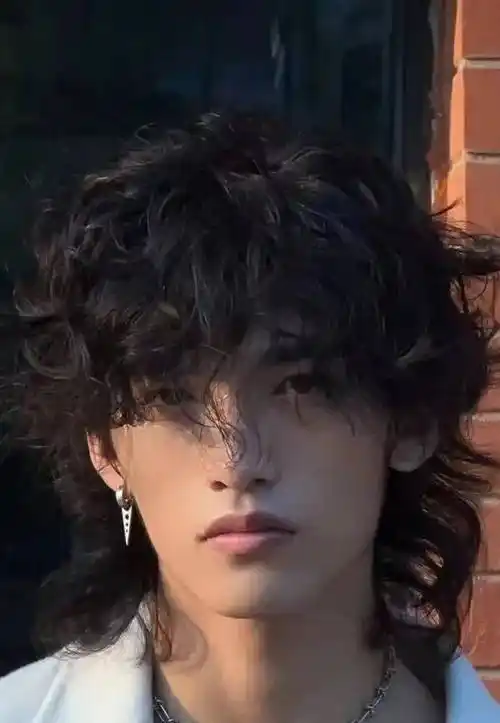 hairlife混血小哥哥的常用style往期回顾短烫羊毛卷