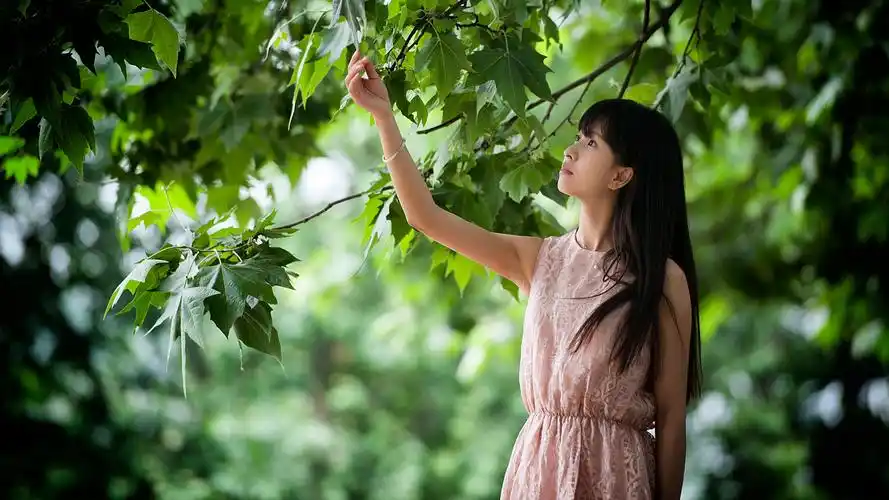 武大校花美女小清新壁纸