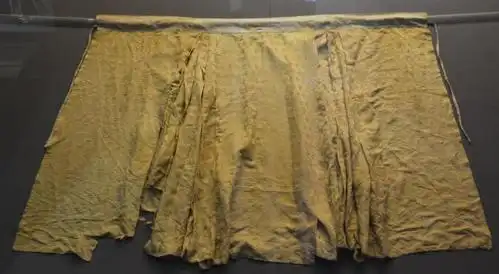 苏州丝绸博物馆修复泰州市博物馆明代服饰取得新进展