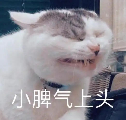 萌宠喵星人小脾气上头生气呆萌搞怪gif动图_动态图_表情包下载_soogif