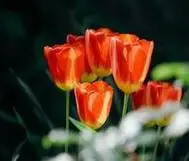 珠山街道2024-06-02天气预报(山东,青岛,黄岛)