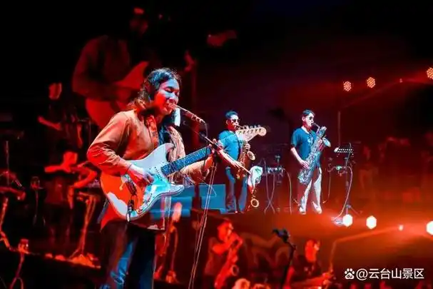 面向市场,面向青年,面向未来,面向国际化,云台山音乐节以山水为媒介