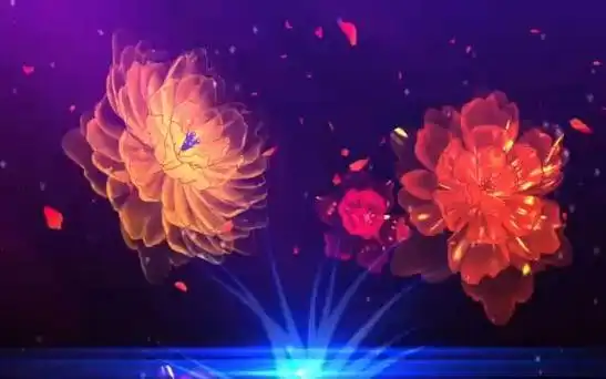 sc996 春节联欢晚会节目 歌舞表演 舞台背景视频 36款唯美花海鲜花