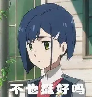 以及经典的"不也挺好的吗"