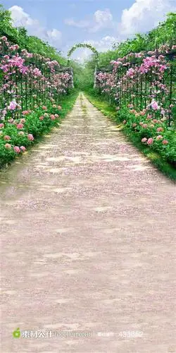 背景-花瓣网|陪你做生活的设计师 | 花园小径摄影背景图片