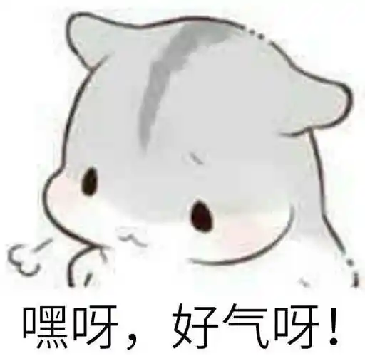 嘿呀,好气呀!