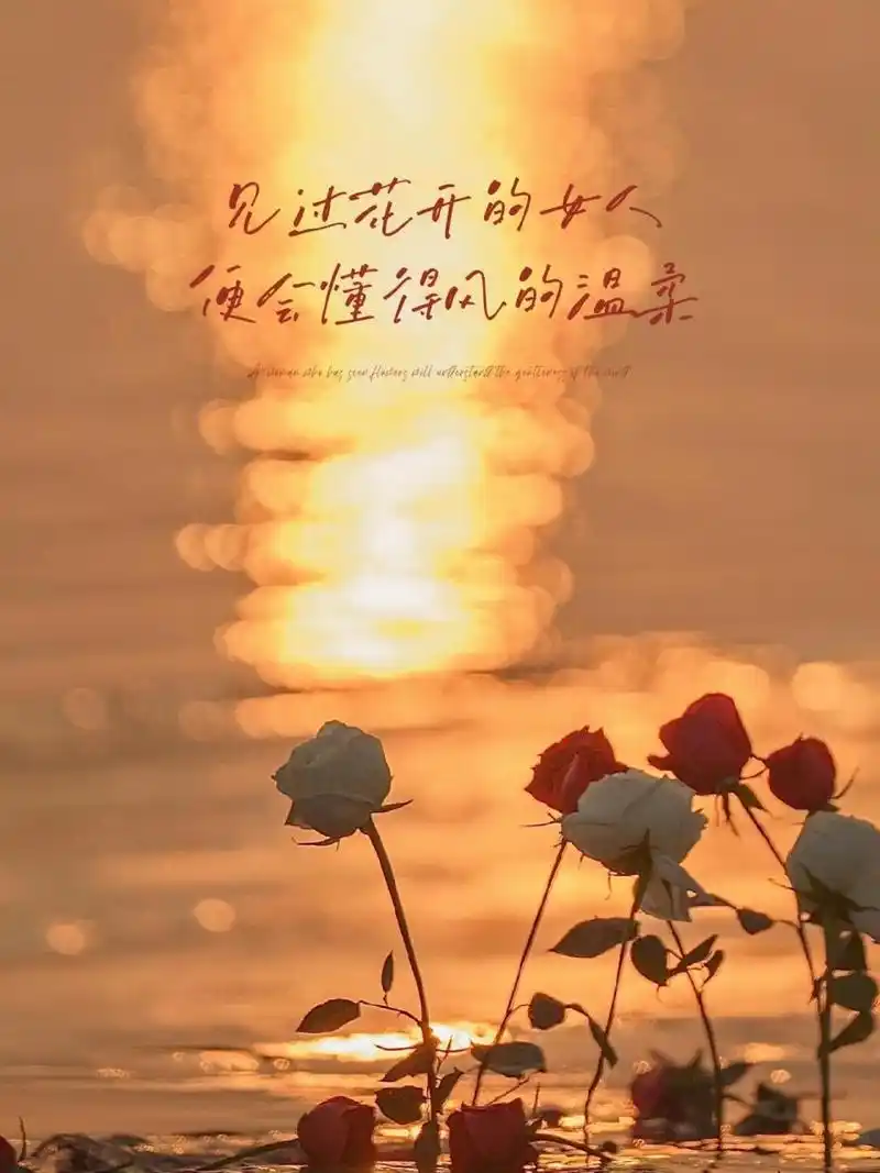 28第229期|情感文案壁纸&高级背景图 09 花会沿路盛开 以后的路