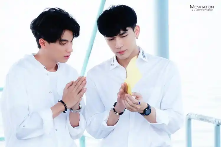 mewgulf 缪哥 糕糕 - 堆糖,美图壁纸兴趣社区