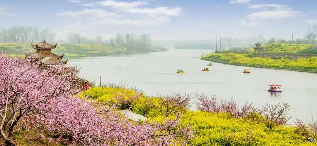 赏万亩桃花 交吉祥好运—西华第十七届桃花节与你不见不散