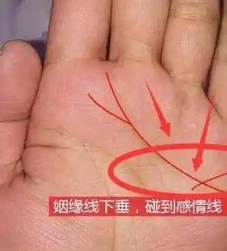 无论有富人穷人,婚姻,情感生活中最怕争吵,此手相者吵而不离_手掌