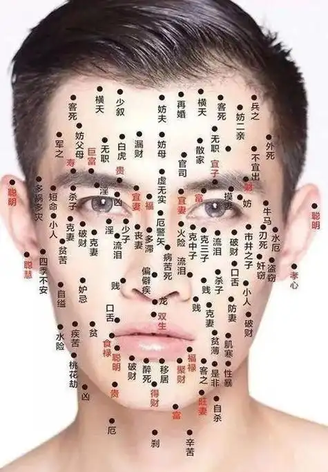 左脸上的痣属于面部科学;两权长痣的人权力不稳定,权利容易被他人侵犯