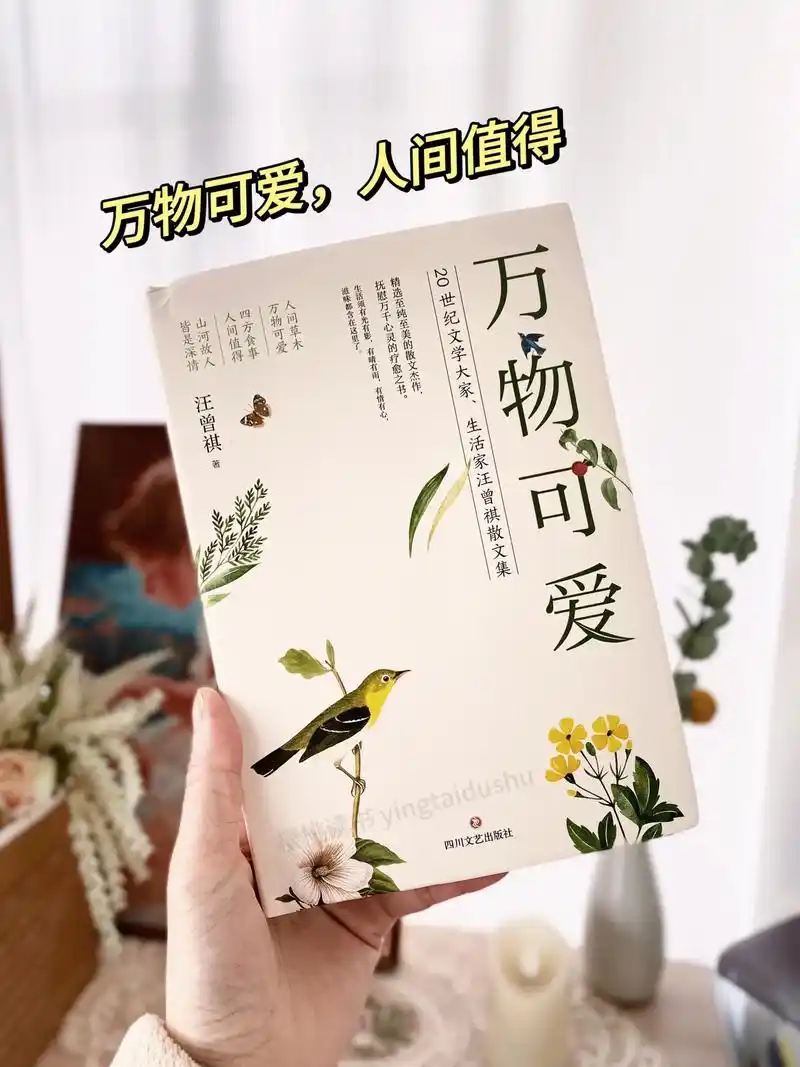 万物可爱,人间值得.汪曾祺的文章,贵在有灵.是一种随意一挥, - 抖音