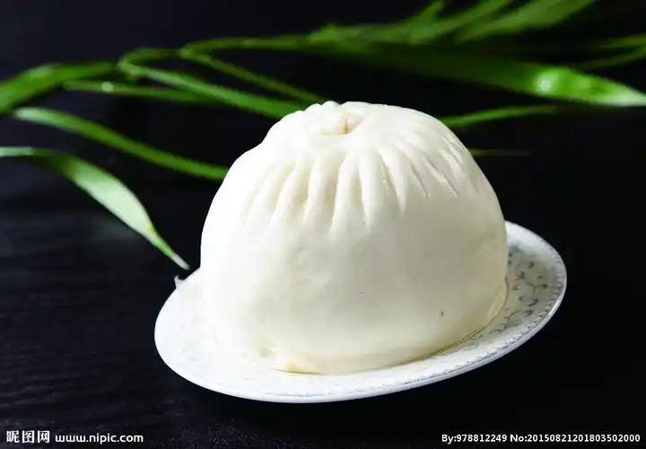 晋峰大包子摄影图__传统美食_餐饮美食_摄影图库_昵图网nipic.com